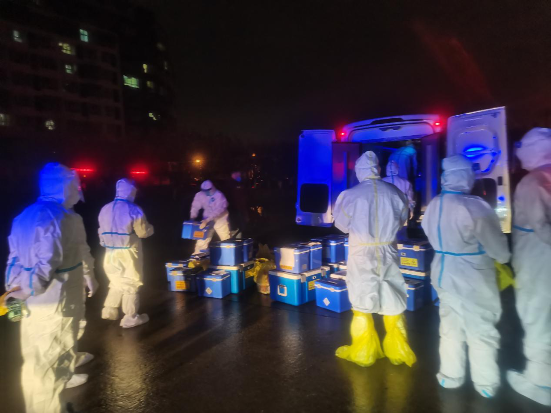 1 1.png?v=1765898176915