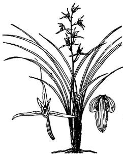 pagenumber_ebook=292,pagenumber_book=292