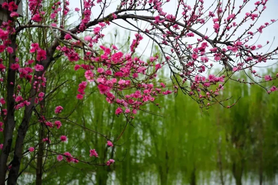 微信图片_20210318100046 微信图片_20210318100046.jpg