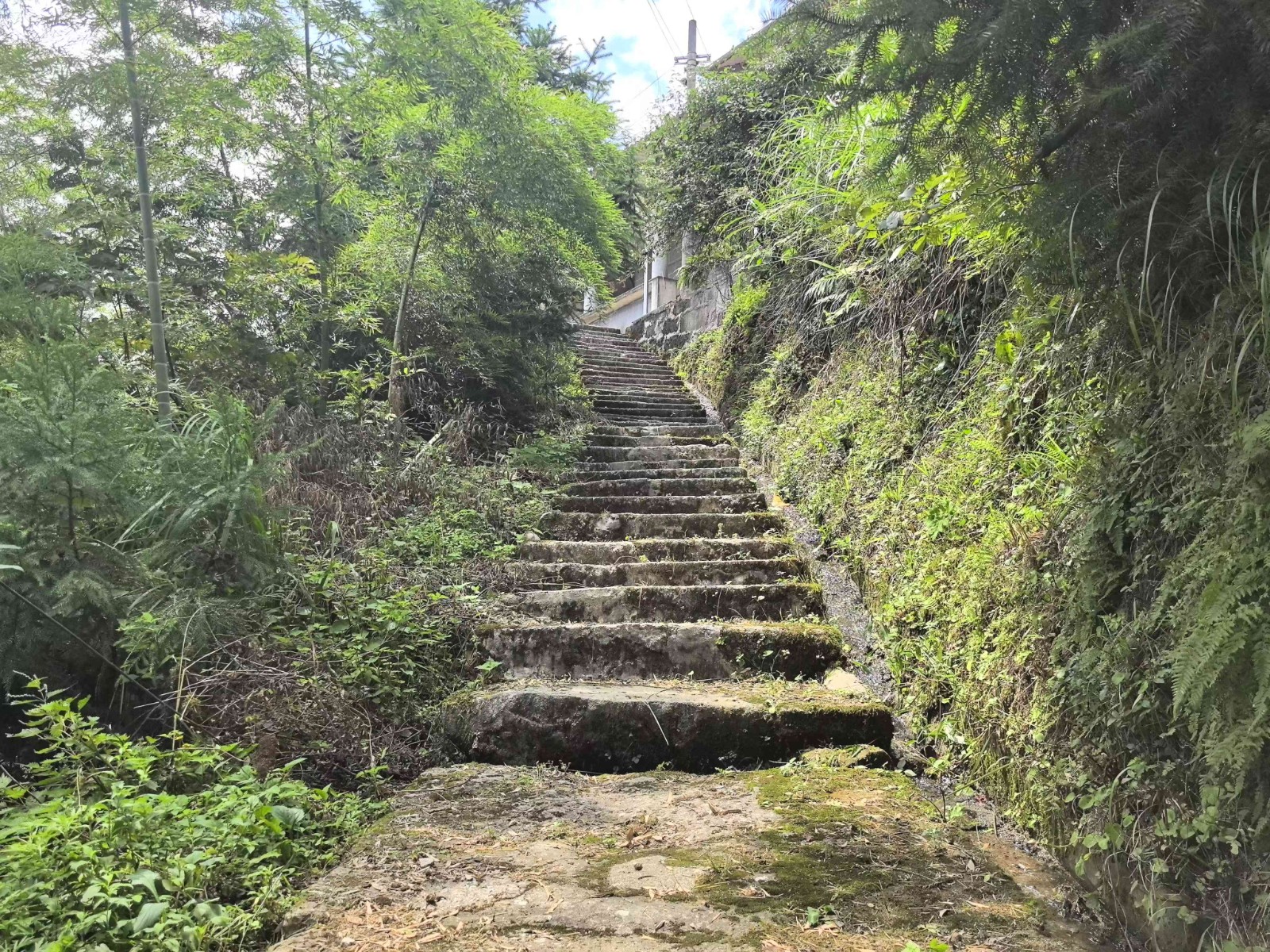 微信图片_20241209221141