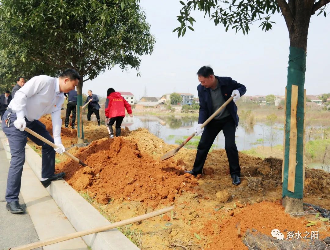 1 1.jpg?v=1765880648353