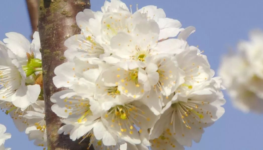 微信图片_20230310150527