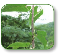 pagenumber_ebook=257,pagenumber_book=244