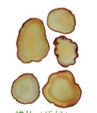 pagenumber_ebook=261,pagenumber_book=248