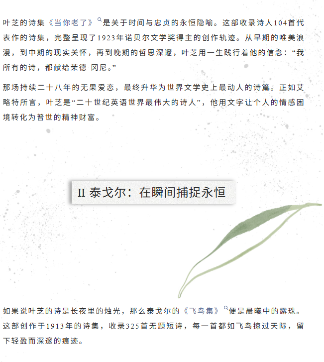 image.png?v=1774105058942