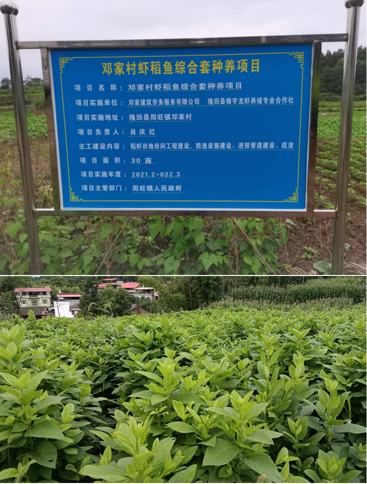 1732174370534 1732174370534.jpg