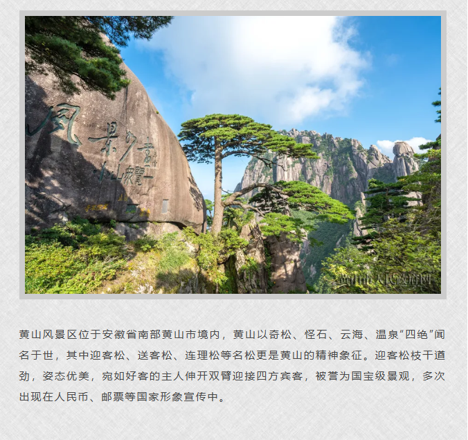 image.png?v=1762099906174