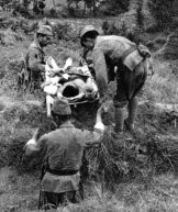 pagenumber_ebook=666,pagenumber_book=666