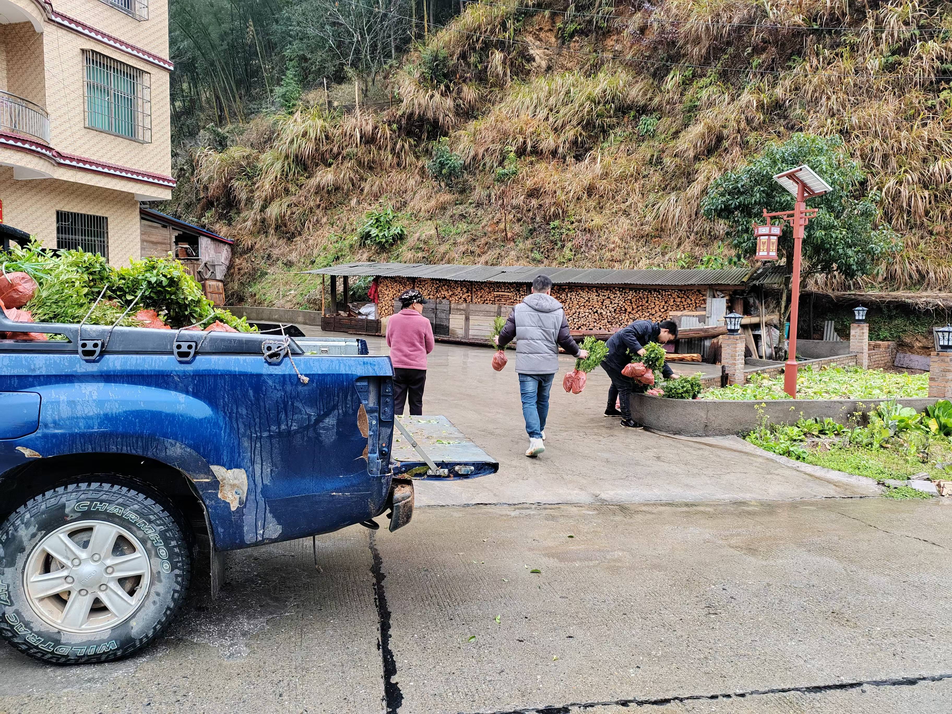 image10 image10.jpeg