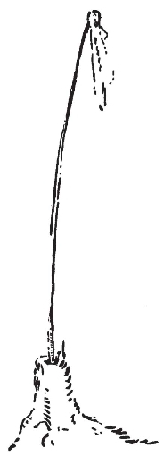 pagenumber_ebook=154,pagenumber_book=146