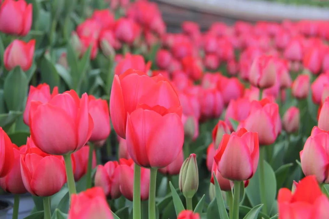 微信图片_20210329153128 微信图片_20210329153128.jpg