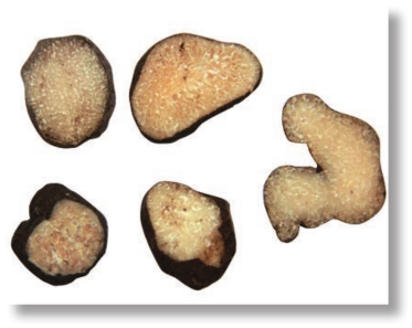 pagenumber_ebook=159,pagenumber_book=146