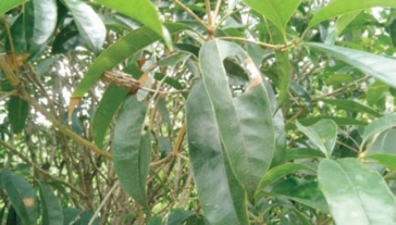 pagenumber_ebook=32,pagenumber_book=24