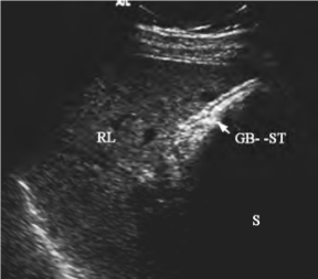 pagenumber_ebook=544,pagenumber_book=544