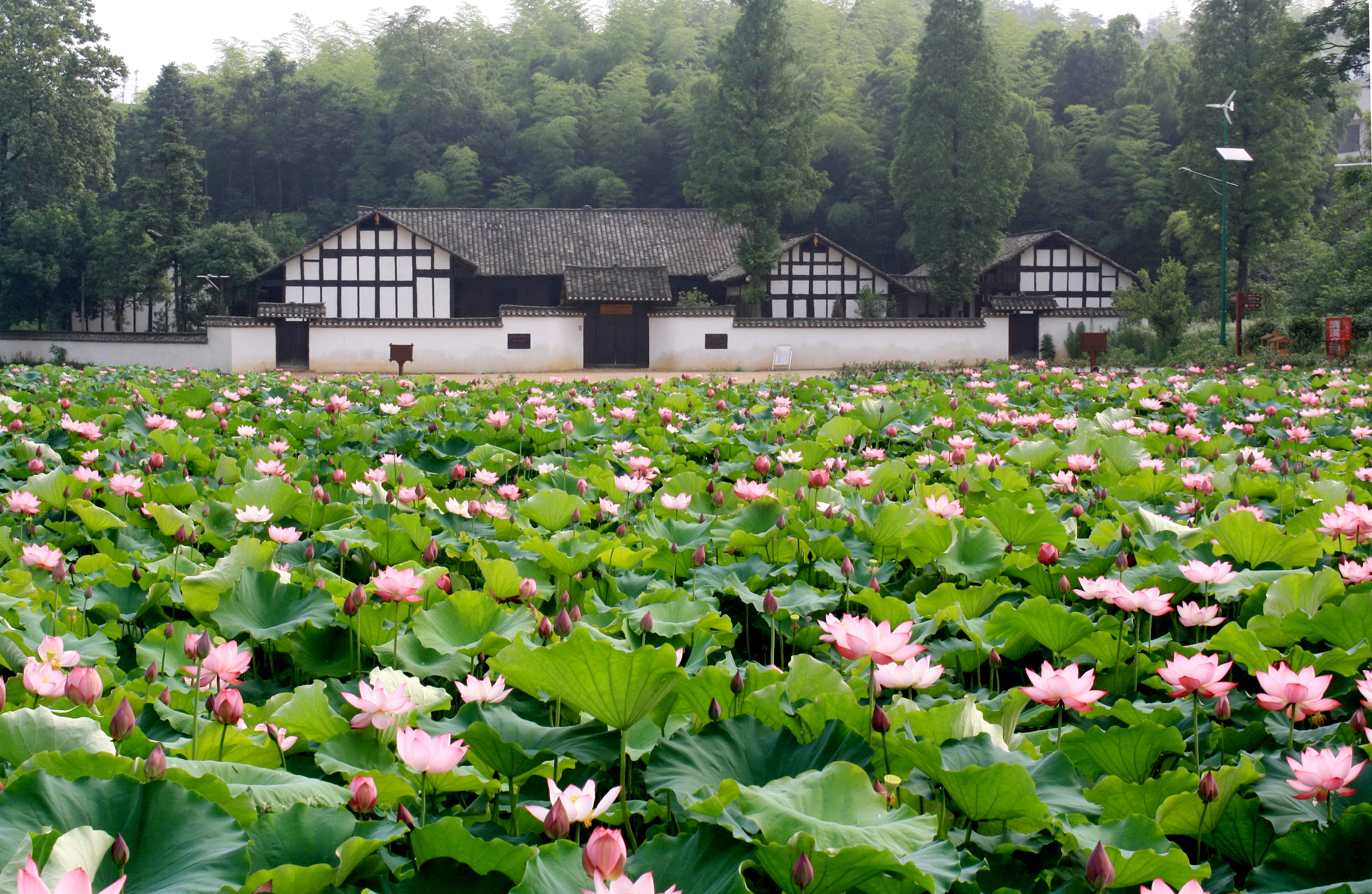 周立波故居 周立波故居.jpg