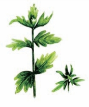 pagenumber_ebook=119,pagenumber_book=108