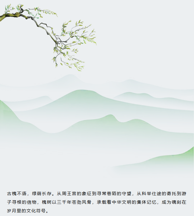 image.png?v=1766278387980