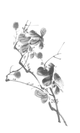 pagenumber_ebook=216,pagenumber_book=216