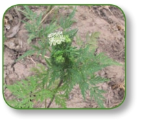 pagenumber_ebook=310,pagenumber_book=297