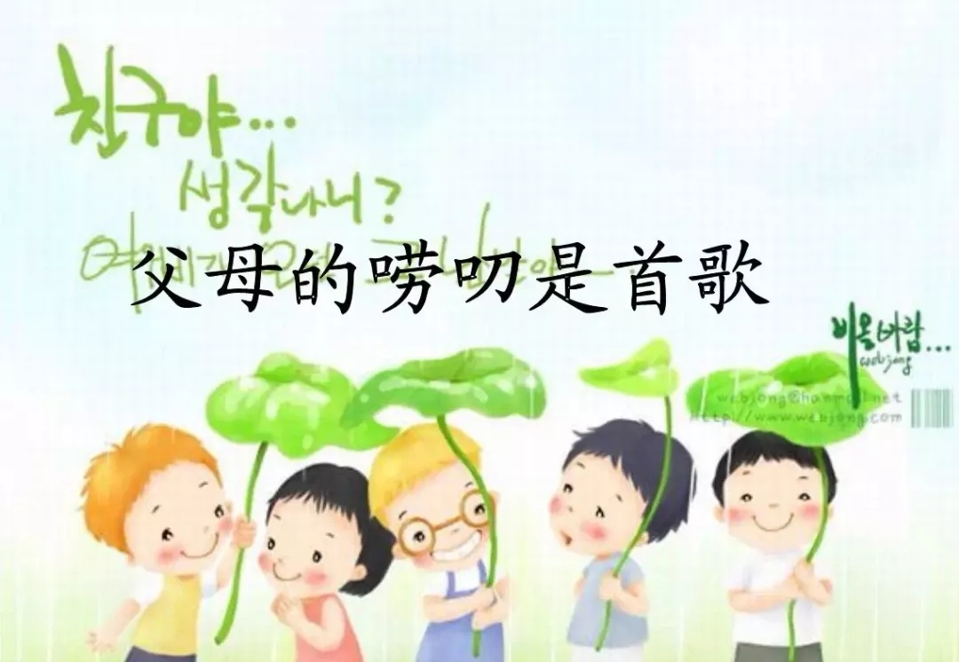 640.webp (4) 640.webp (4).jpg?v=1762590099364