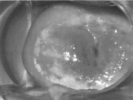 pagenumber_ebook=80,pagenumber_book=69