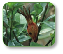 pagenumber_ebook=42,pagenumber_book=29