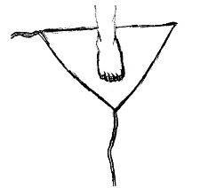 pagenumber_ebook=57,pagenumber_book=51