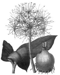 pagenumber_ebook=219,pagenumber_book=219