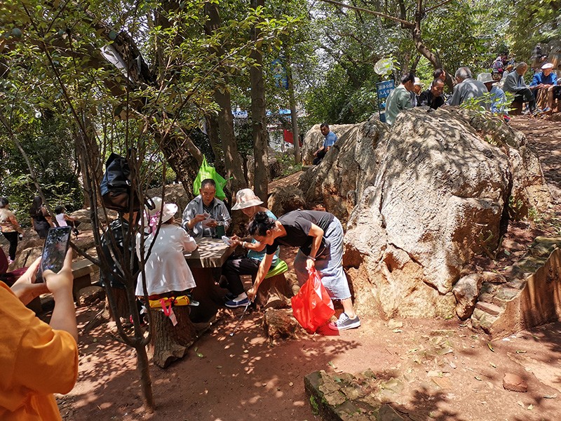 06a600e7e0edffe023492f9a4eea530