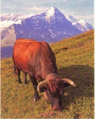 pagenumber_ebook=170,pagenumber_book=161