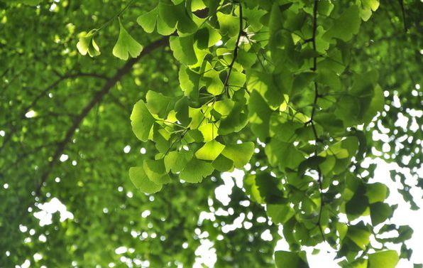 c4aedd6f394c5a68fa8780dcd1e784d