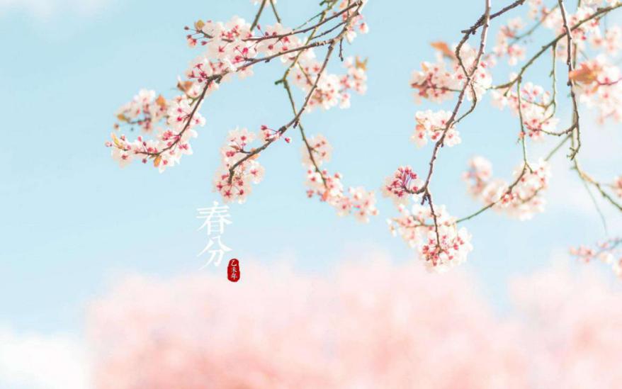 image001 image001.jpg?v=1764640555861