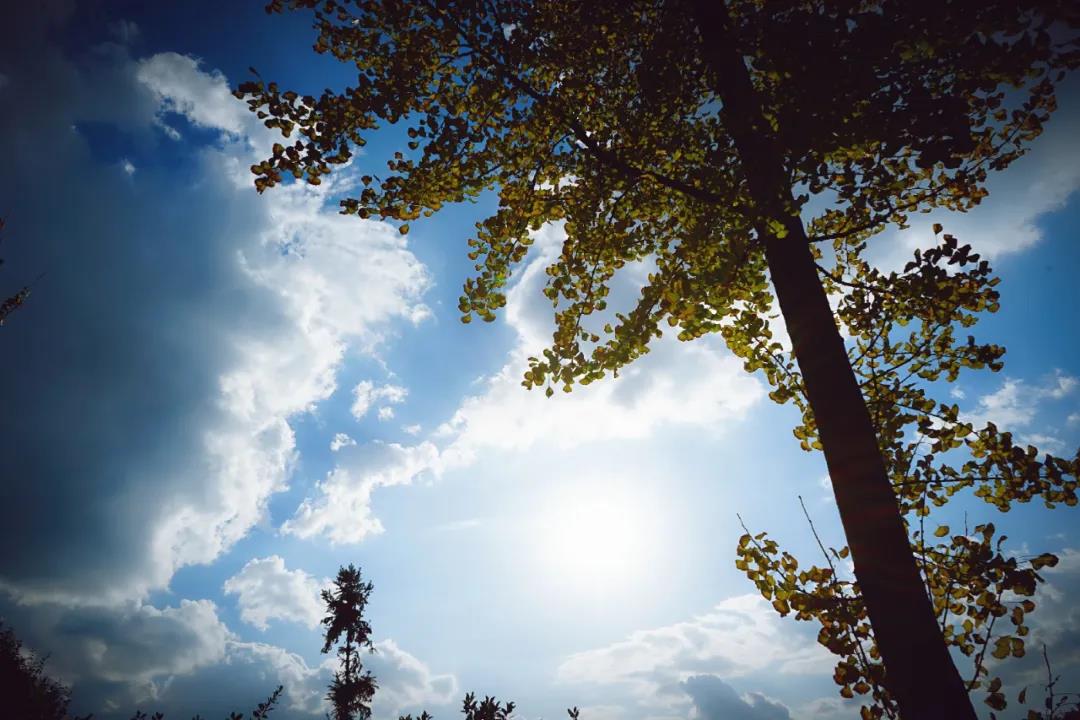 微信图片_20201124233849