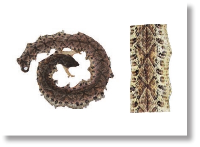 pagenumber_ebook=95,pagenumber_book=82