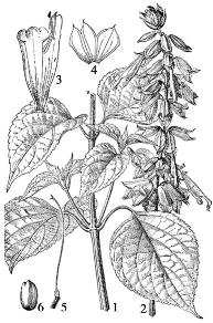 pagenumber_ebook=202,pagenumber_book=202