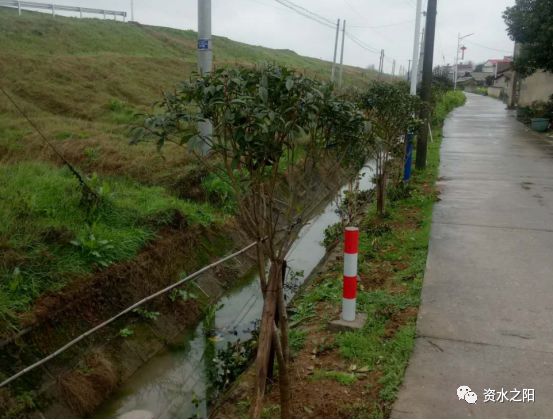 1 1.jpg?v=1765966964326