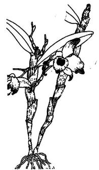 pagenumber_ebook=293,pagenumber_book=293