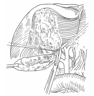 pagenumber_ebook=291,pagenumber_book=283