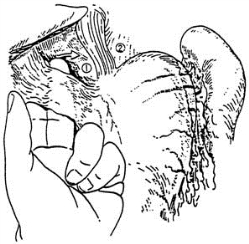 pagenumber_ebook=98,pagenumber_book=83