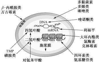 width=303,height=191,dpi=110