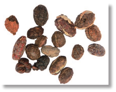 pagenumber_ebook=109,pagenumber_book=96