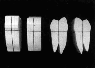 pagenumber_ebook=203,pagenumber_book=194