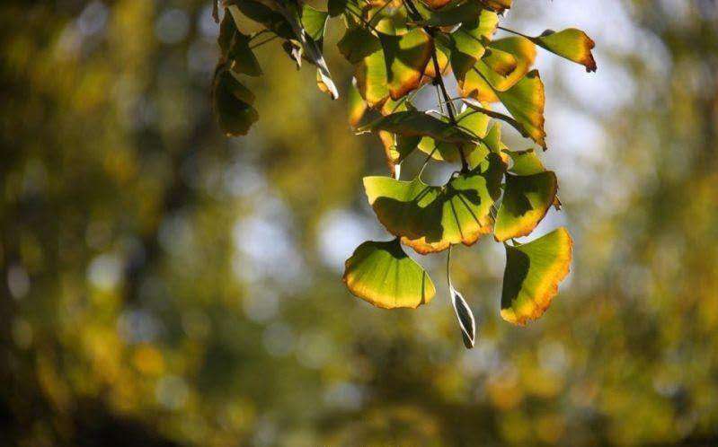 50f0a6e835851f4946377ea97ab4b41 50f0a6e835851f4946377ea97ab4b41.jpg