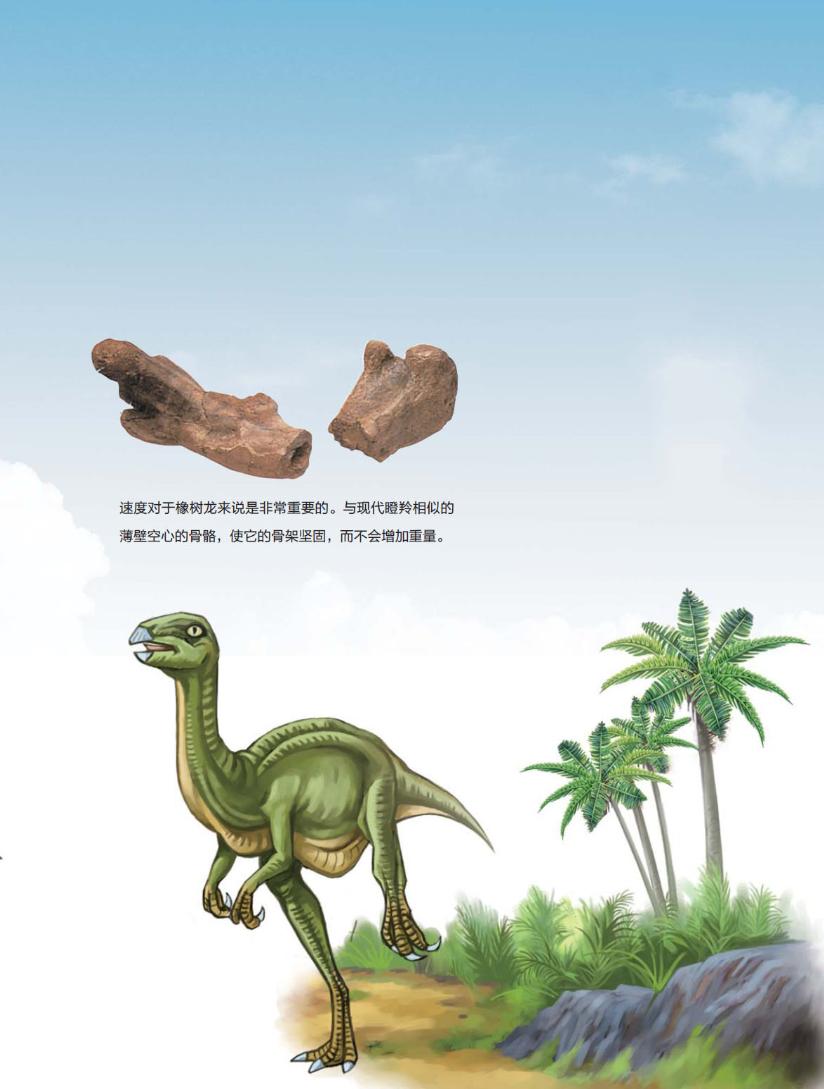 pagenumber_ebook=120,pagenumber_book=109