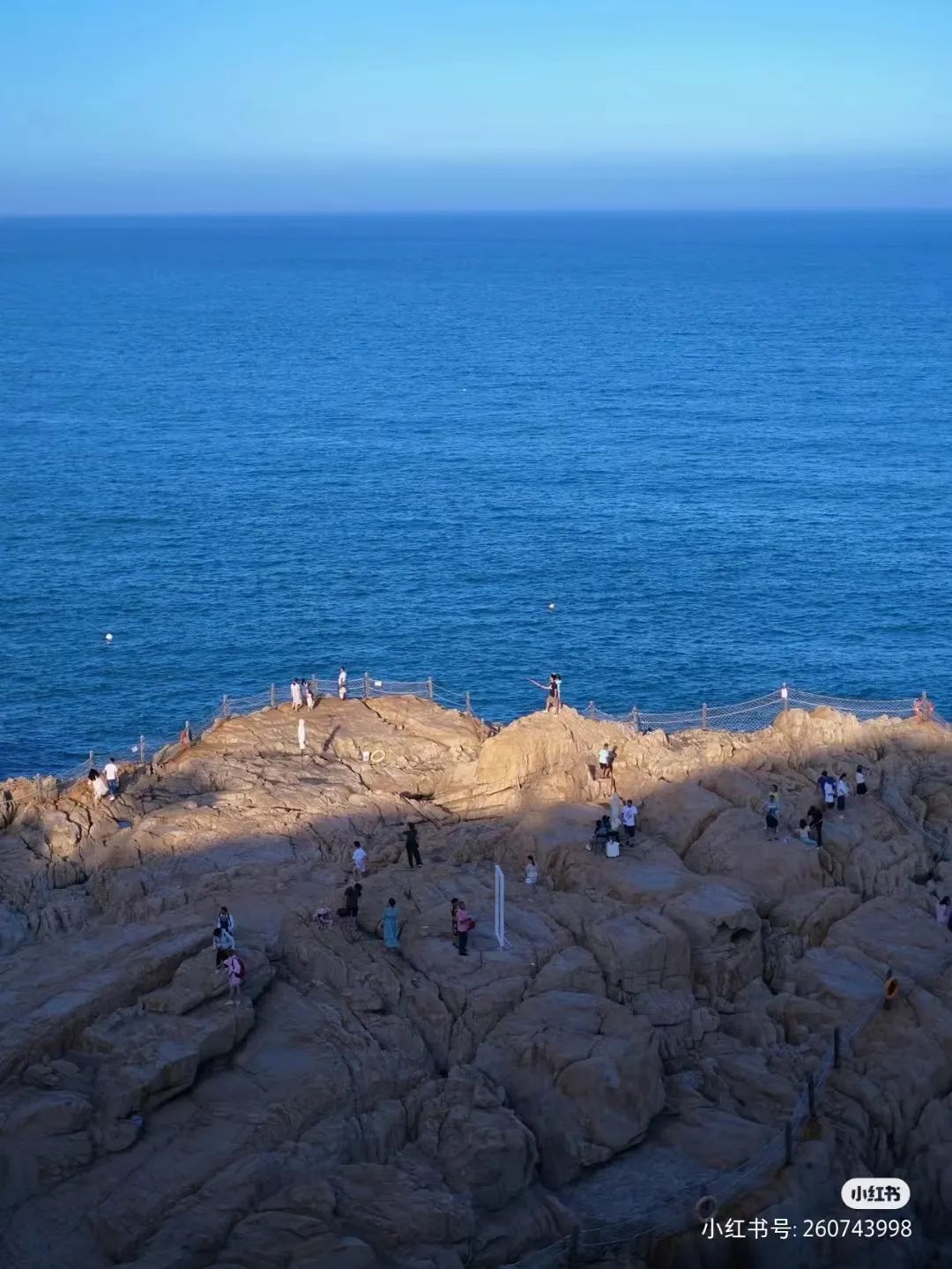 DM_20230130115929_016 DM_20230130115929_016.jpeg