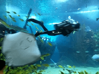 微信图片_20210403181651 微信图片_20210403181651.gif