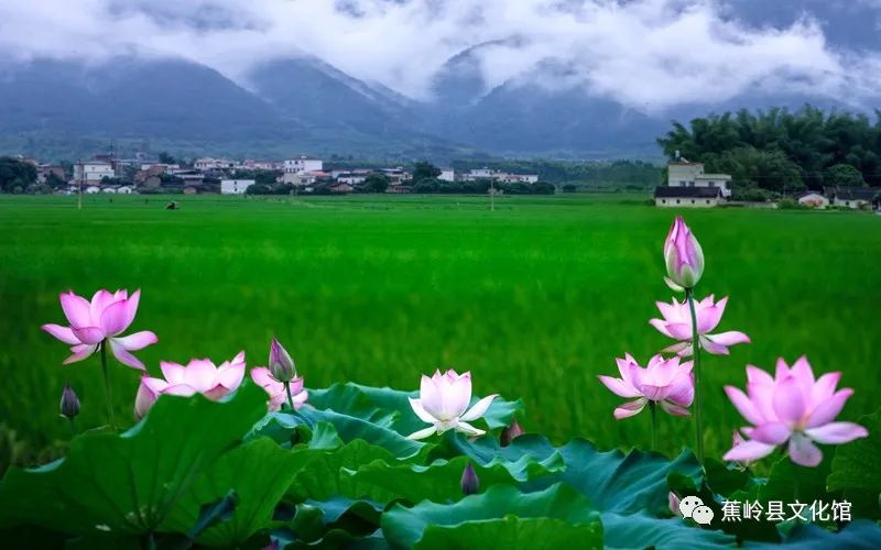 微信图片_20220804151736 微信图片_20220804151736.jpg?v=1766027747636