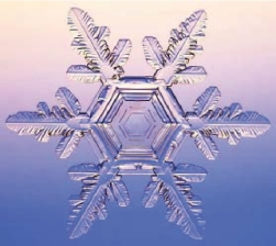 pagenumber_ebook=92,pagenumber_book=84