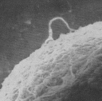 pagenumber_ebook=101,pagenumber_book=88