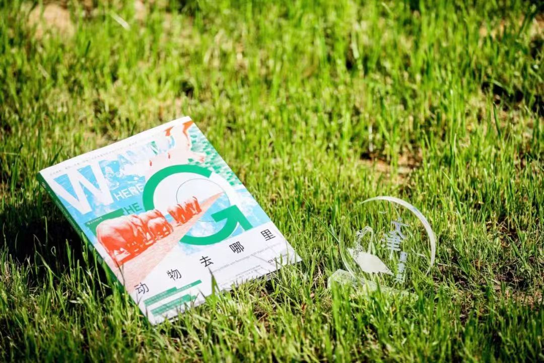 1030667328 1030667328.jpg